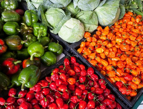 International Webinar on the Procurement Opportunity for the Construction of the Logistics and Distribution Center in Skopje