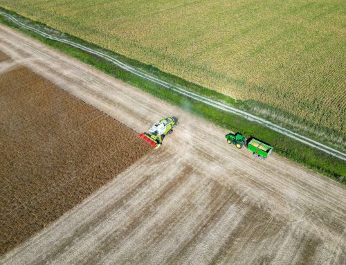 Agriculture Modernization Project Launches Bid for the Agri-Food Platform in Gazi Baba, Skopje